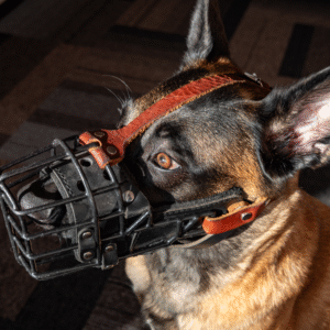 Soft leather muzzle straps