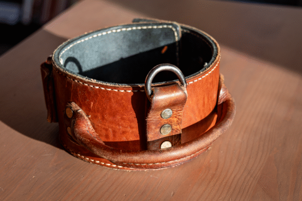 Leather flat collar - Image 4
