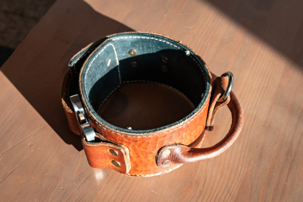 Leather flat collar - Image 2