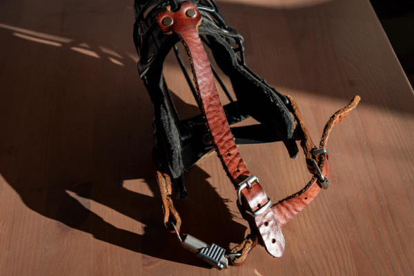Soft leather muzzle straps - Image 5