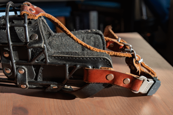 Soft leather muzzle straps - Image 6