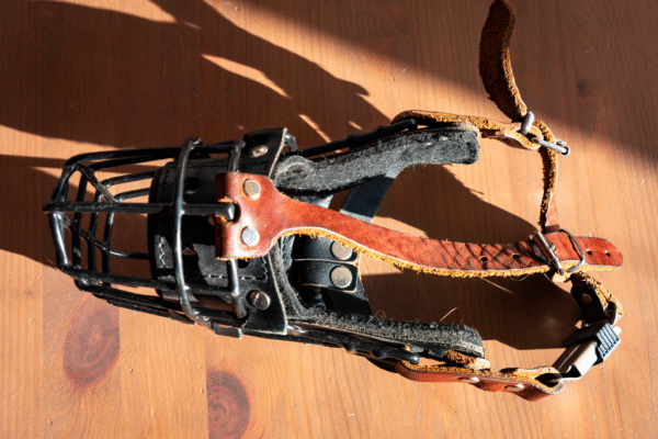 Soft leather muzzle straps - Image 4