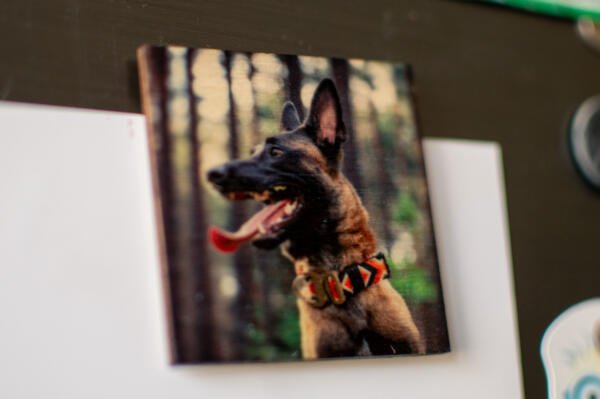Custom wooden fridge magnet set - Image 6