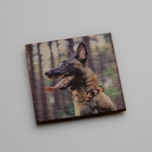 Custom wooden fridge magnet set