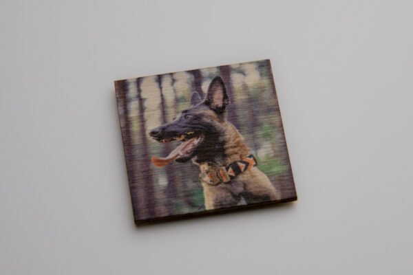 Custom wooden fridge magnet set